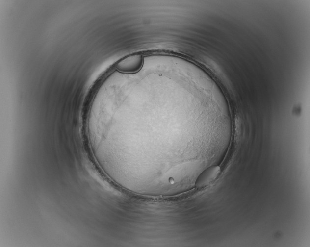 X0000110970780200907022243