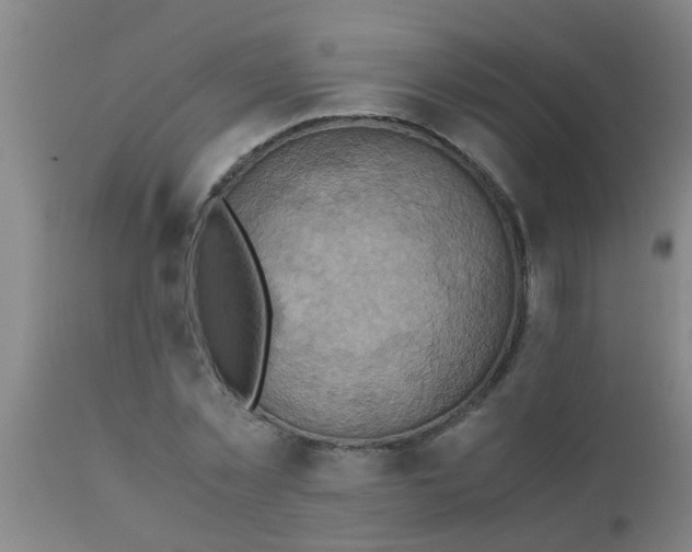 X0000110970781200907022243