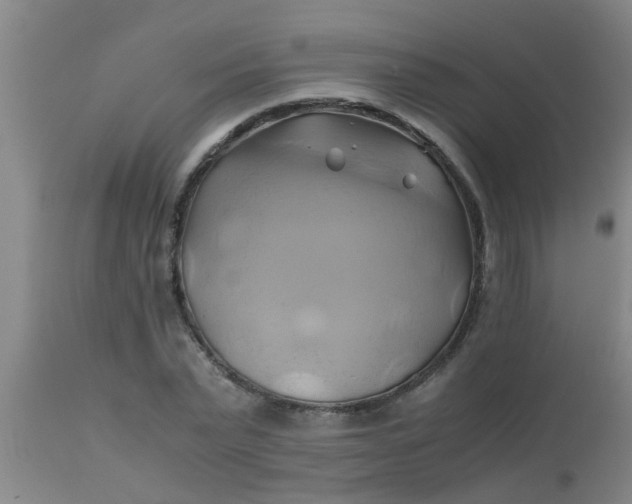 X0000110970783200907022243