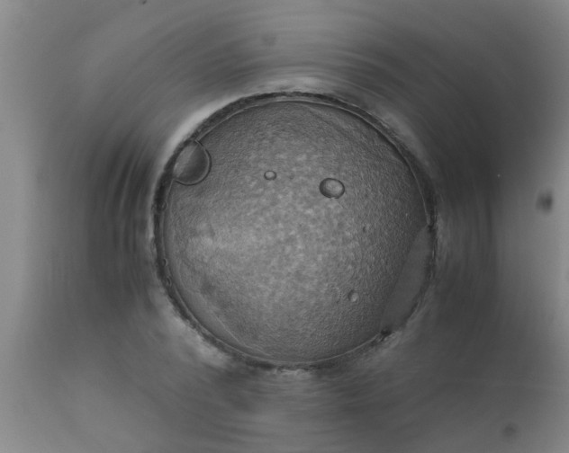 X0000110970784200907022243