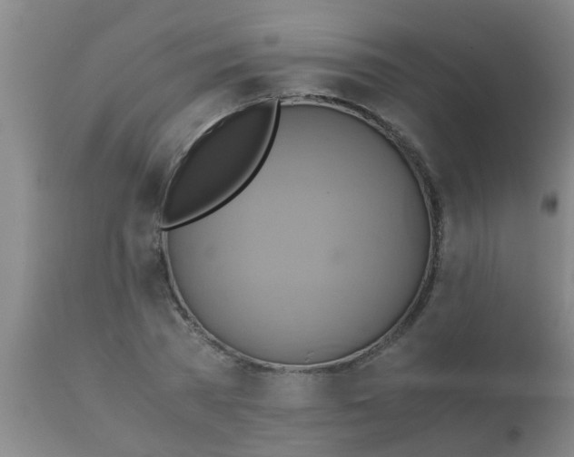 X0000110970785200907022243