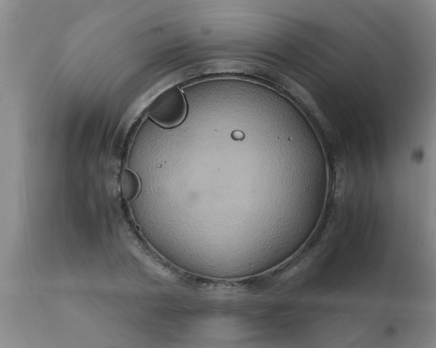 X0000110970786200907022243