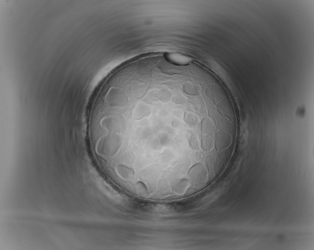 X0000110970787200907022243