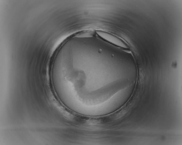 X0000110970788200907022243