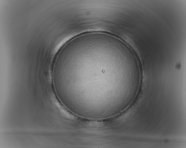 X0000110970789200907022243