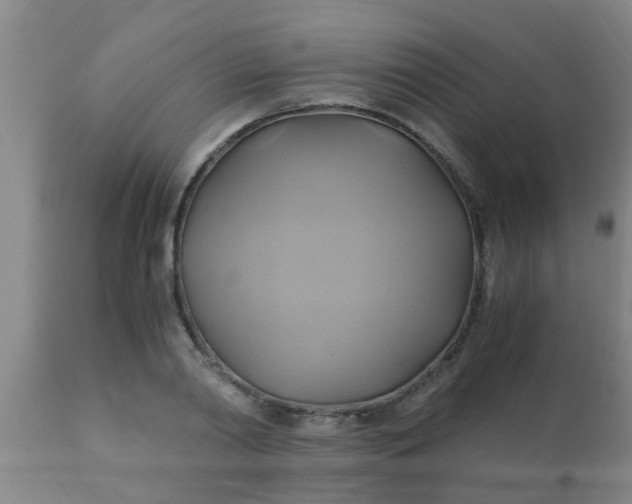 X0000110970790200907022243