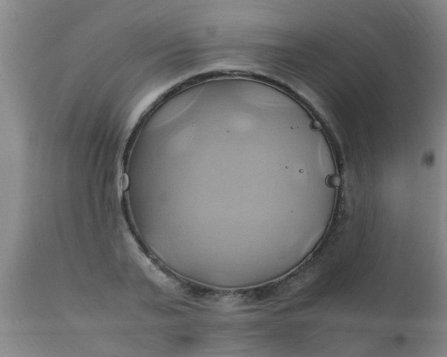 X0000110970791200907022243