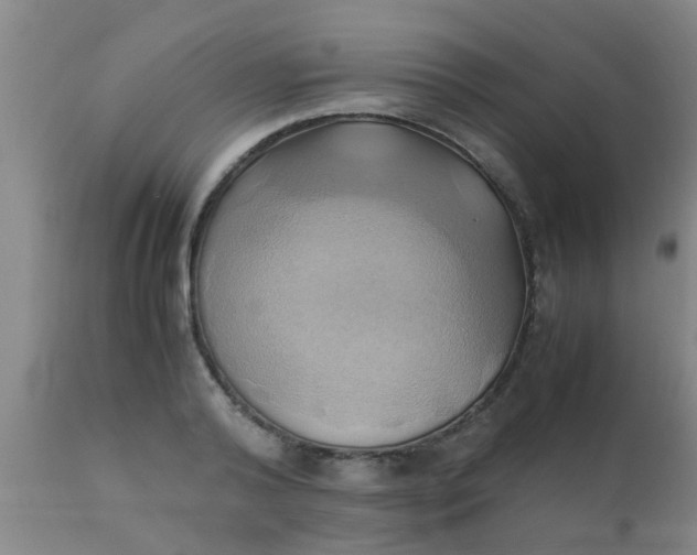 X0000110970792200907022243