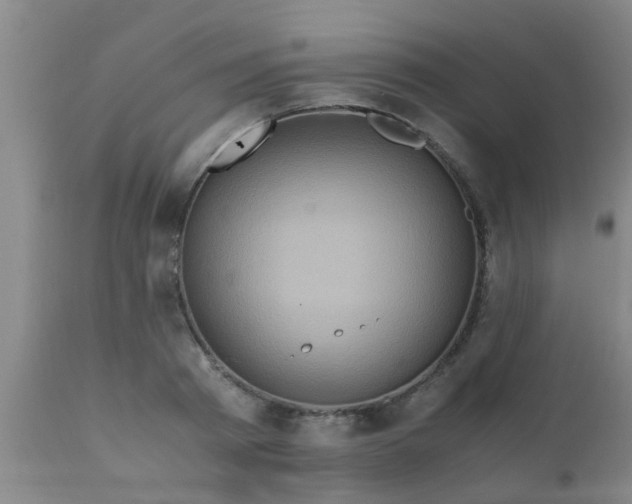 X0000110970793200907022243