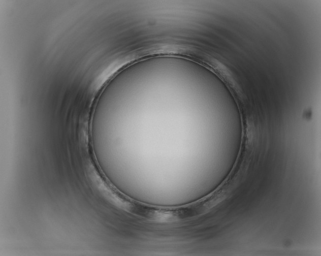 X0000110970794200907022243