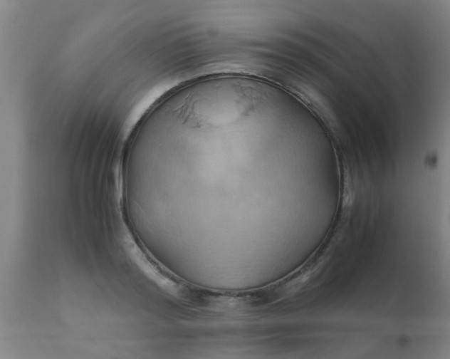 X0000110970796200907022243