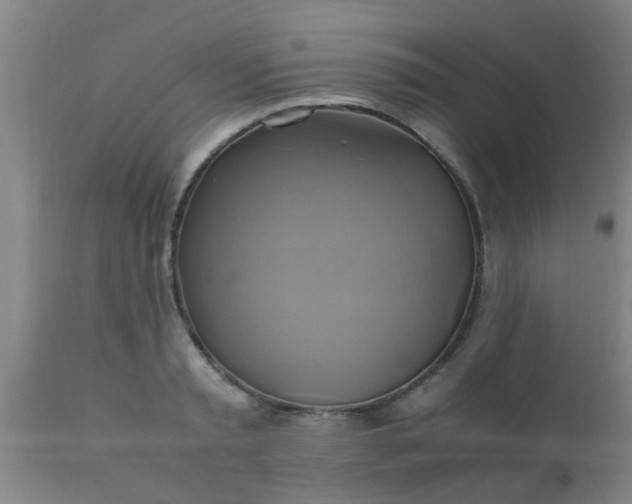 X0000110970797200907022243