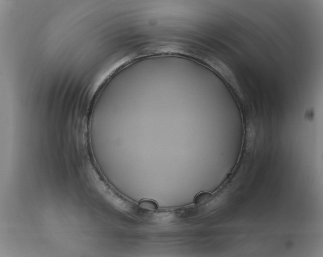 X0000110970798200907022243