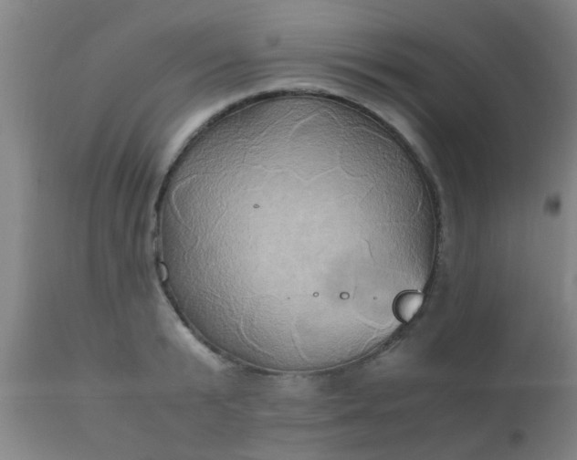 X0000110970799200907022243