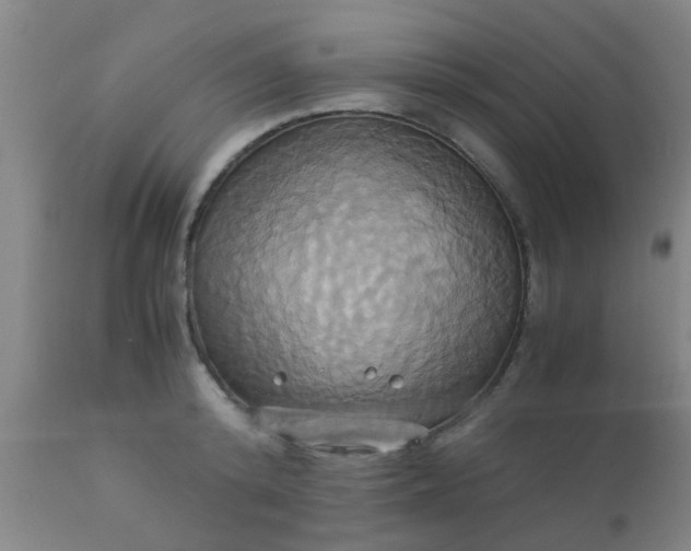 X0000110970800200907022243