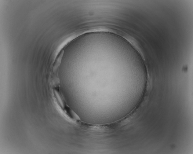 X0000110970805200907022243