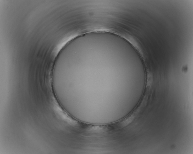 X0000110970806200907022243