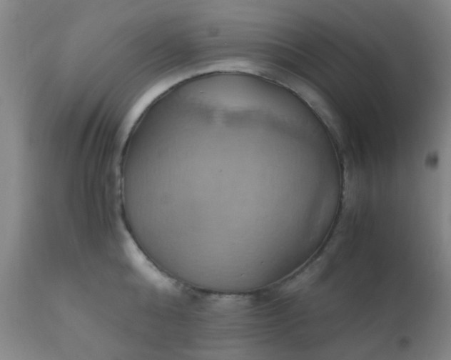 X0000110970808200907022243