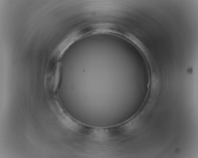 X0000110970809200907022243