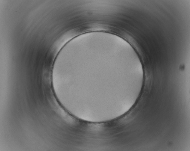 X0000110970810200907022243