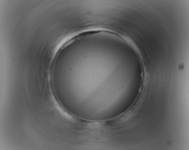 X0000110970813200907022243