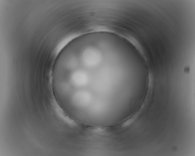 X0000110970814200907022243