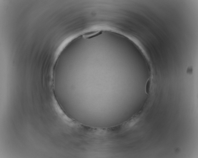 X0000110970815200907022243