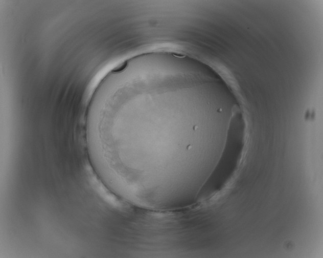 X0000110970816200907022243