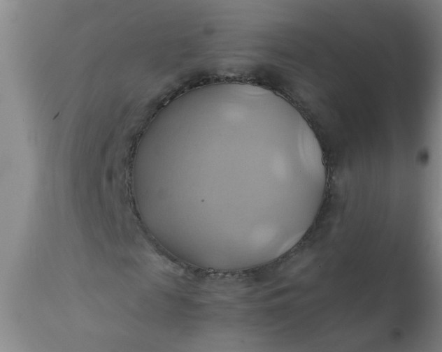 X0000110970817200907022242