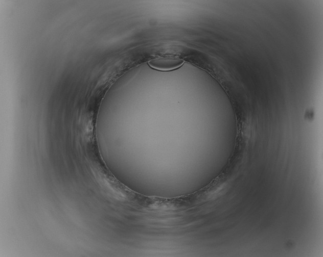 X0000110970818200907022242