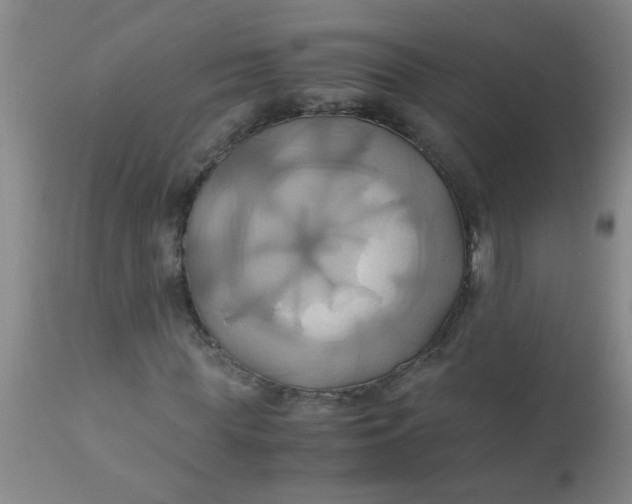 X0000110970819200907022242