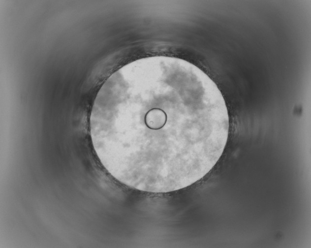 X0000110970820200907022242