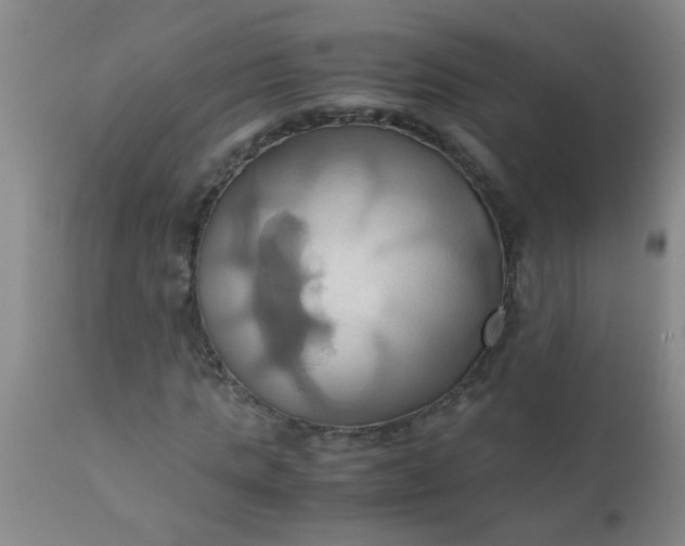 X0000110970821200907022242