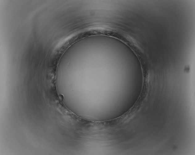 X0000110970822200907022242