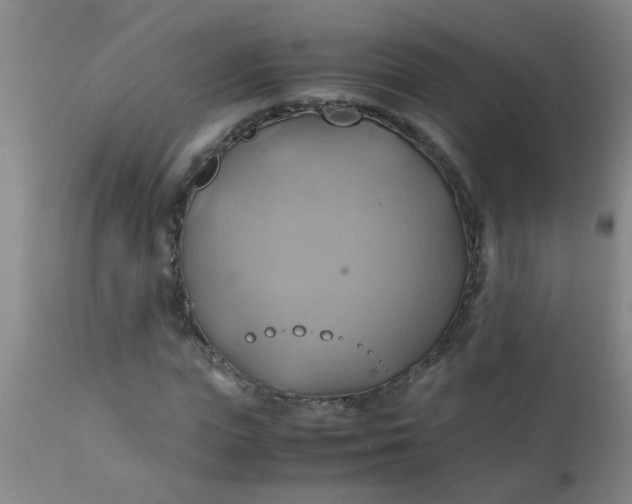 X0000110970823200907022242