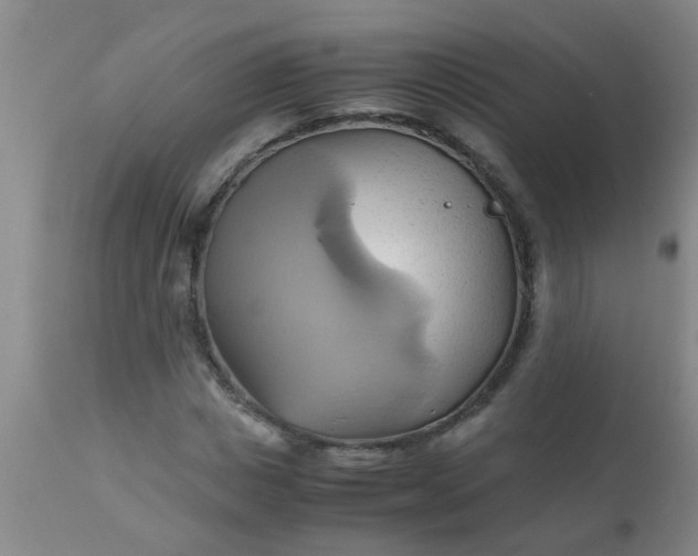 X0000110970825200907022242