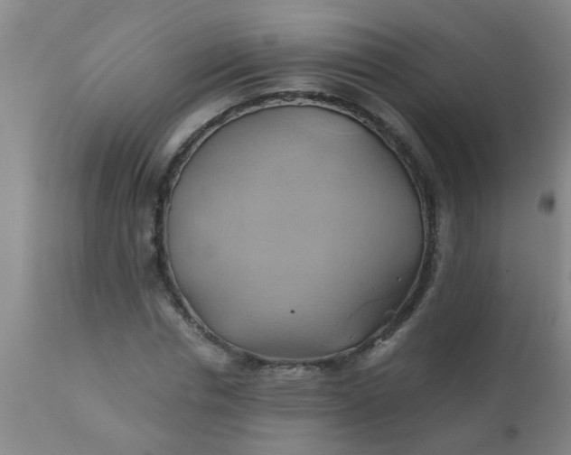 X0000110970826200907022242