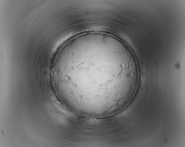 X0000110970827200907022242