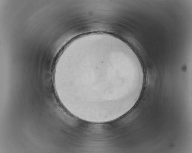 X0000110970828200907022242