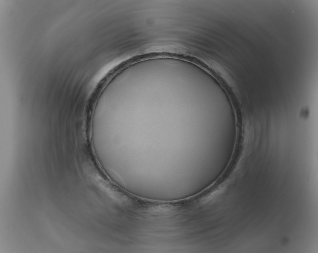 X0000110970830200907022242