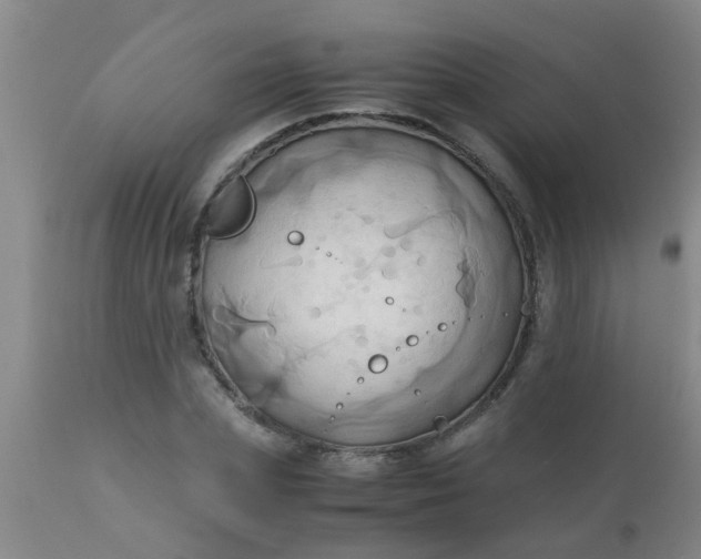 X0000110970831200907022242