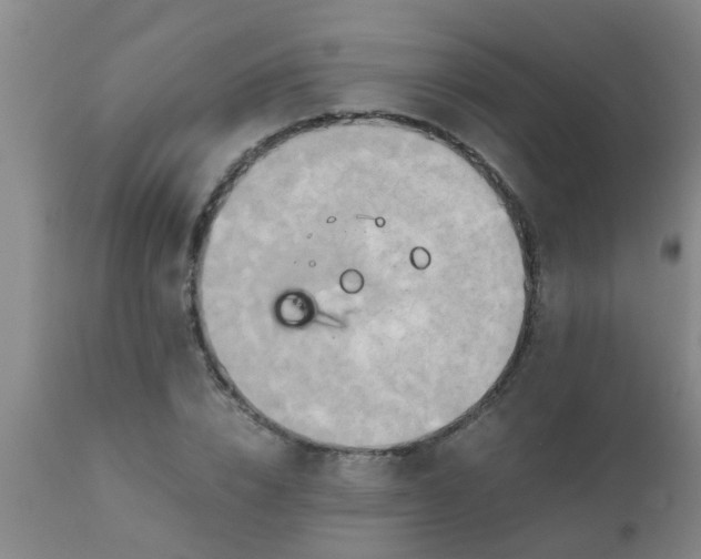 X0000110970832200907022242