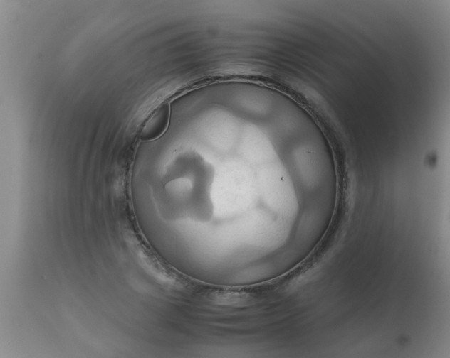 X0000110970833200907022242