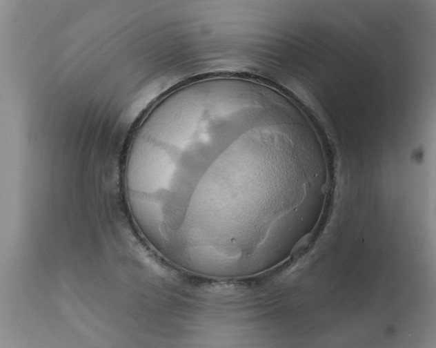 X0000110970834200907022242