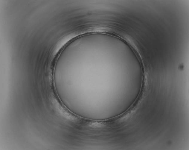 X0000110970835200907022242