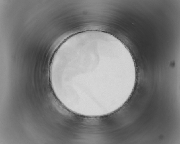 X0000110970836200907022242