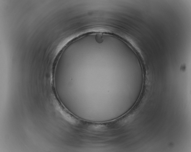 X0000110970837200907022242