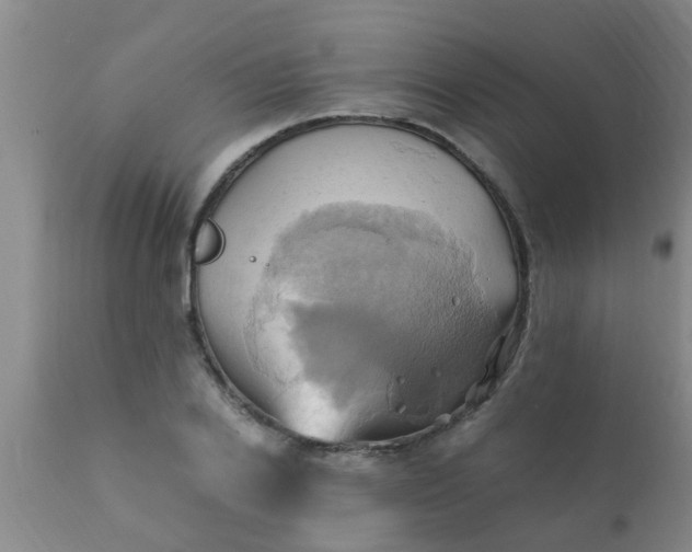 X0000110970838200907022242