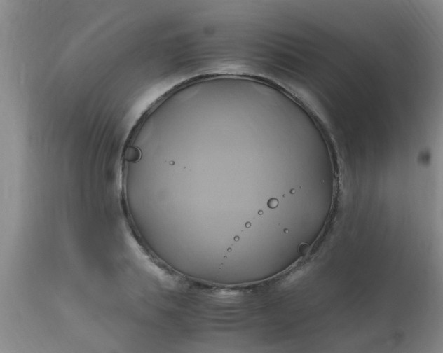 X0000110970839200907022242