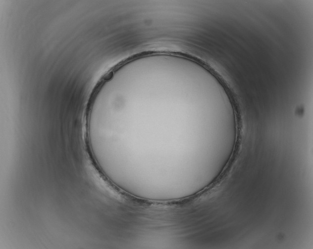 X0000110970840200907022242